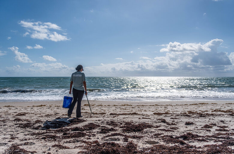 World Ocean Day: Volunteers remove trash from Golden Sands Beach