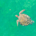 062226 ClearWaters JoshuaKodis 008