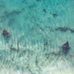Clear water 3