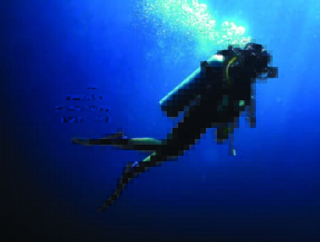 Coming Up! Annual Ocean Film Fest returns to Harbor Branch