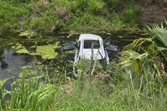 Woman, 82, rescued after being trapped in vehicle that crashed in canal
