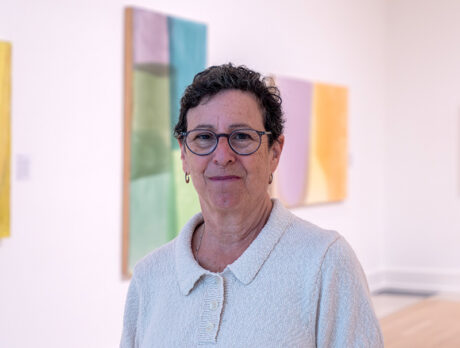 ‘Chromatic Phrases’ exhibit vividly expresses Nathanson’s art