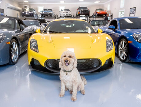 Bonz revved up to meet Joey, VB Autosports’ No. 1 pooch