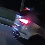 Hit and run Sebastian 2