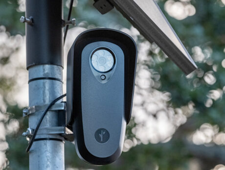 Flock cameras ‘successful tool’ in solving crime, law enforcement officials say
