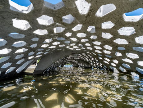 ‘Living shoreline’ built to restore eroded park beach