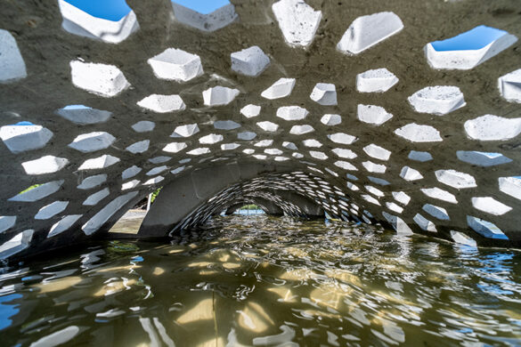 ‘Living shoreline’ built to restore eroded park beach