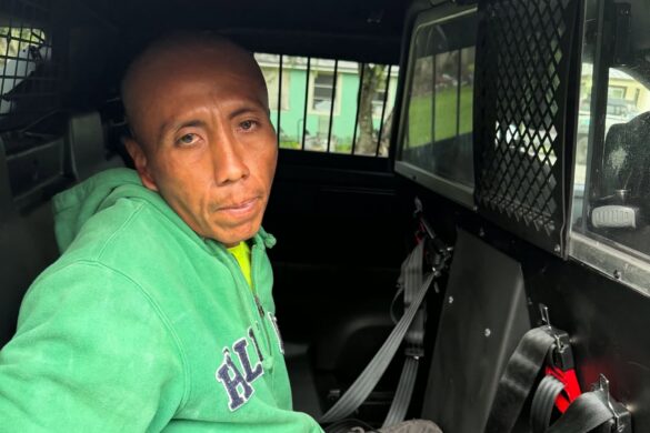 Machete attack suspect detained, Fellsmere police say